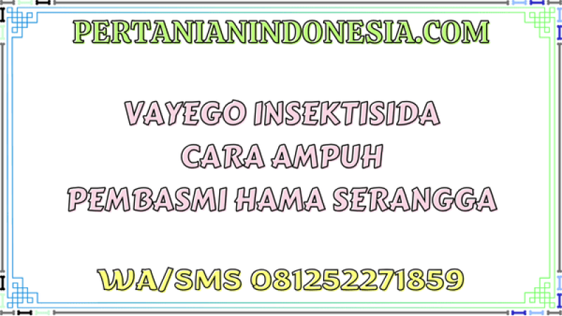 Vayego Insektisida Cara Ampuh Pembasmi Hama Serangga