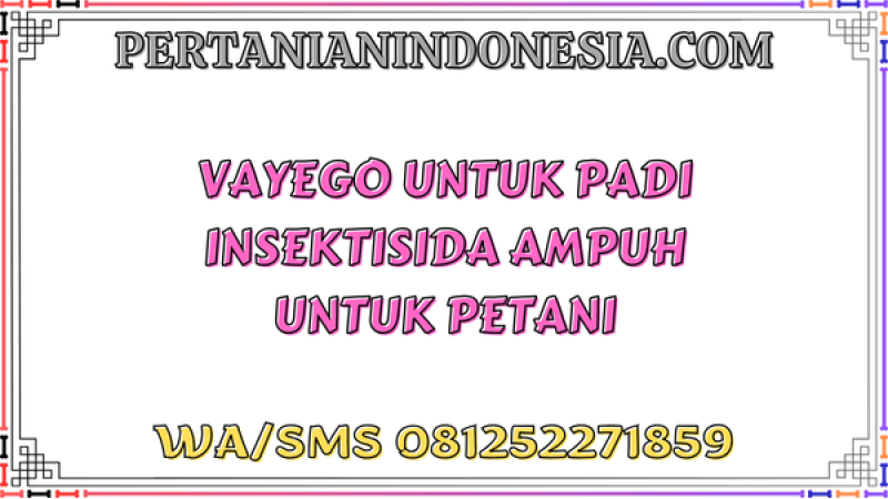 Vayego Untuk Padi Insektisida Ampuh Untuk Petani