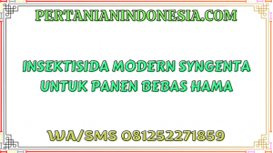 Virtako Insektisida Modern Syngenta Untuk Panen Bebas Hama