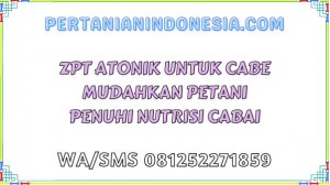 ZPT Atonik Untuk Cabe Mudahkan Petani Penuhi Nutrisi Cabai