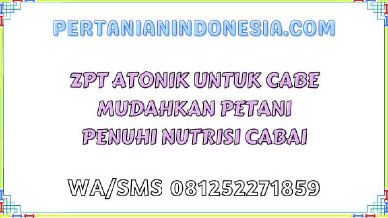 ZPT Atonik Untuk Cabe Mudahkan Petani Penuhi Nutrisi Cabai