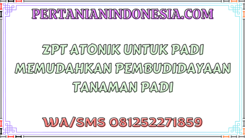 ZPT Atonik Untuk Padi Memudahkan Pembudidayaan Tanaman Padi