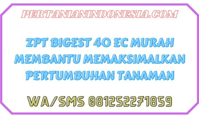 ZPT Bigest 40 EC Murah Membantu Memaksimalkan Pertumbuhan Tanaman