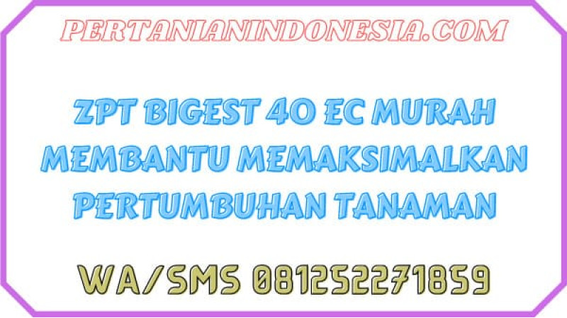 ZPT Bigest 40 EC Murah Membantu Memaksimalkan Pertumbuhan Tanaman