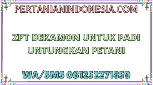 ZPT Dekamon Untuk Padi Untungkan Petani