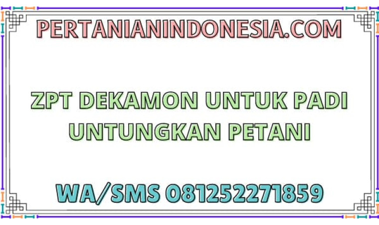 ZPT Dekamon Untuk Padi Untungkan Petani