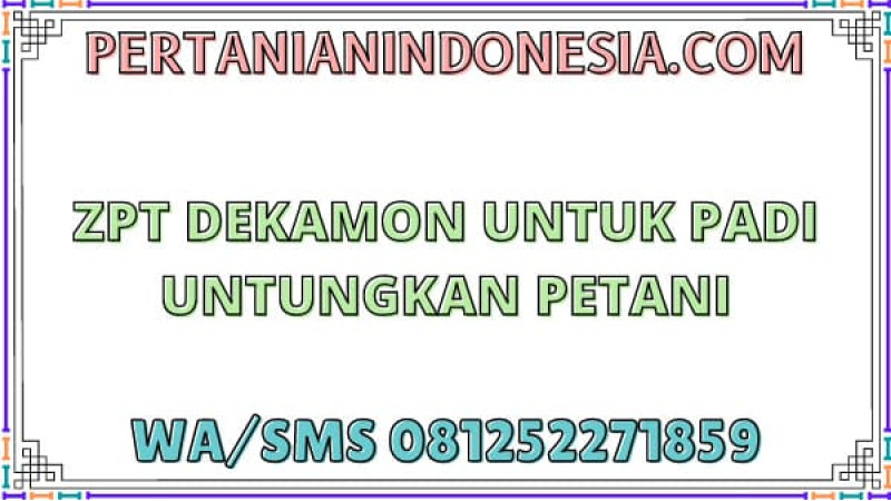 ZPT Dekamon Untuk Padi Untungkan Petani