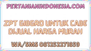ZPT Gibgro Untuk Cabe Dijual Harga Murah