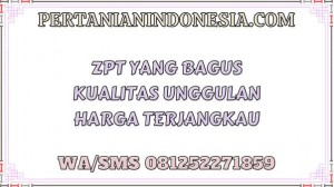 ZPT Yang Bagus Kualitas Unggulan Harga Terjangkau