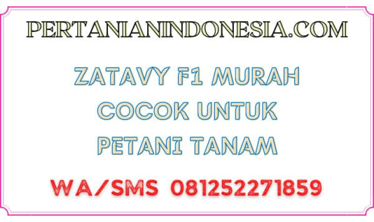Zatavy F1 Murah Cocok Untuk Petani Tanam