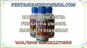 Zorvec Encantia Fungisida Unggul Harga Terjangkau