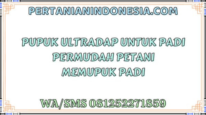 Pupuk Ultradap Untuk Padi Permudah Petani Memupuk Padi