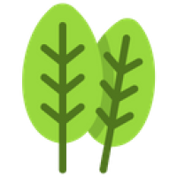 Bayam