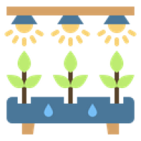 Hidroponik