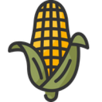 Jagung Manis