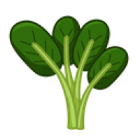 Kangkung