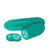 Mentimun