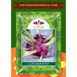 Benih Bawang Merah Lokananta