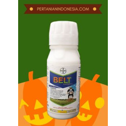 https://pertanianindonesia.com/image/cache/catalog/produk/Belt%20Expert%20480%20SC-250x250.jpg