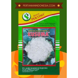 Benih Bunga Kol Kusuma