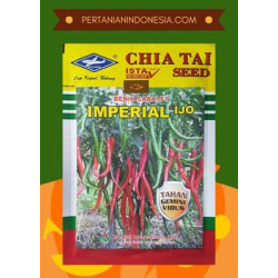 Benih Cabe Imperial Ijo