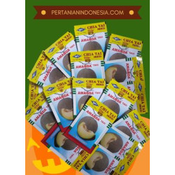 https://pertanianindonesia.com/image/cache/catalog/produk/Bibit%20Melon%20Amanda%20Tavi-250x250.jpg