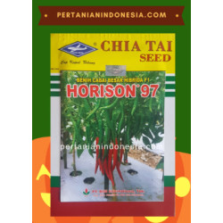 Benih Cabe Horison 97