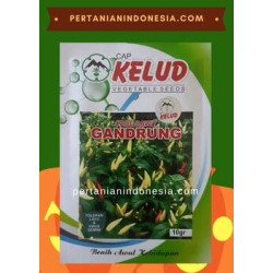 Benih Cabe Rawit Gandrung 