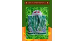 Benih Daun Bawang Blaze