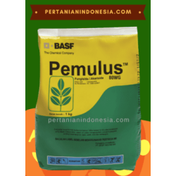 Fungisida Pemulus 80 WG Basf 1 Kg