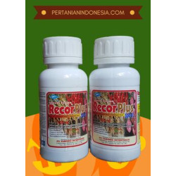Fungisida Recor Plus 300 EC