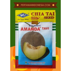 Benih Melon Amanda Tavi