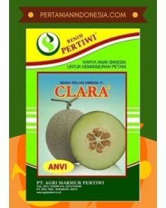 Benih Melon Clara