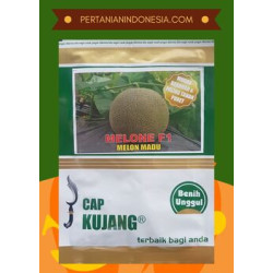 Benih Melon Melone