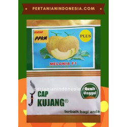 Benih Melon Melonia 