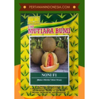 Benih Melon Noni