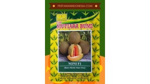 Benih Melon Noni
