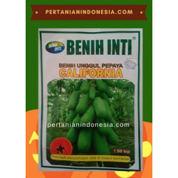 Pepaya California Benih Inti