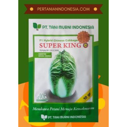 Benih Sawi Putih Super King
