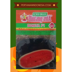 Benih Semangka Bonita 