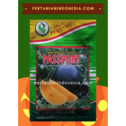 Benih Semangka Passport 