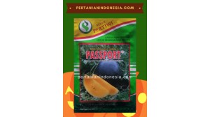 Benih Semangka Passport 