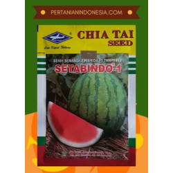 Benih Semangka Setabindo 