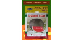 Benih Semangka Setabindo Black
