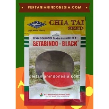 Benih Semangka Setabindo Black