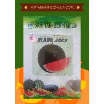 Semangka Tanpa Biji Black Jack