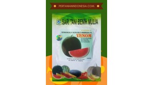 Benih Semangka Venom