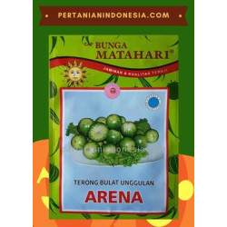 Benih Terong Bulat Arena