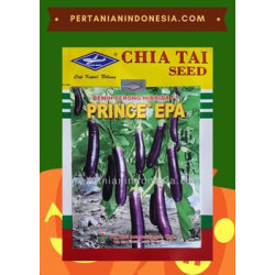 Benih Terong Prince Epa Bisi International