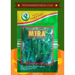 Benih Timun Mira